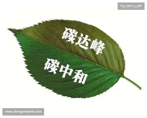 乌迪内斯发布碳中和计划 2030年实现零排放目标推进绿色可持续发展 乌迪内斯发布碳中和计划 2030年实现零排放目标推进绿色可持续发展